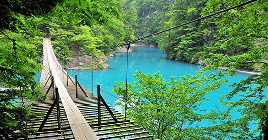 夢の吊橋