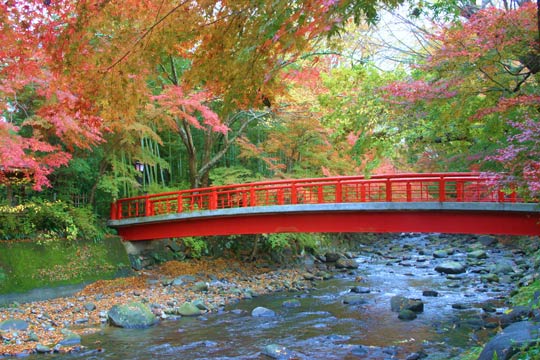 恋の橋めぐり