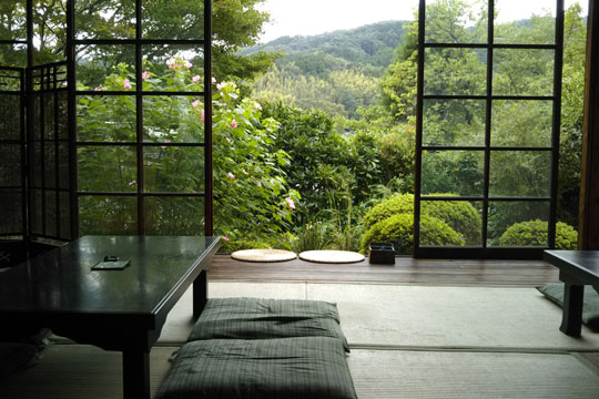 茶庵 芙蓉