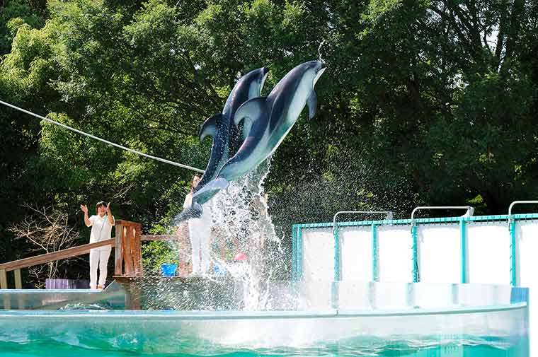 新屋島水族館