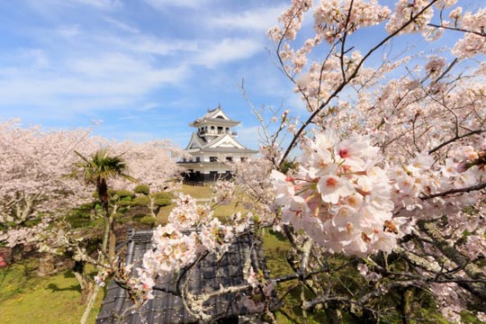 城山公園