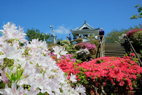 城山公園