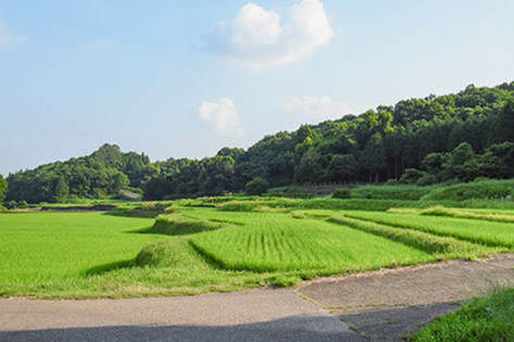 小砂エリア