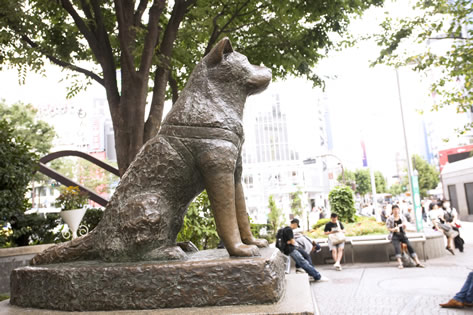 忠犬ハチ公像