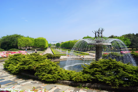 国営昭和記念公園