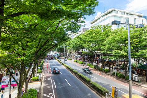 表参道カフェ