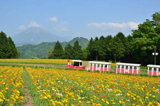 現地スタッフ厳選 鳥取県のおすすめ観光スポットbest 楽天トラベル
