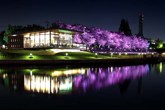 スターバックス 富山環水公園店