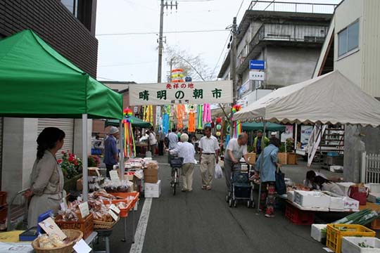 敦賀博物館通り