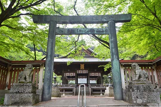 金崎宮(かねがさきぐう)