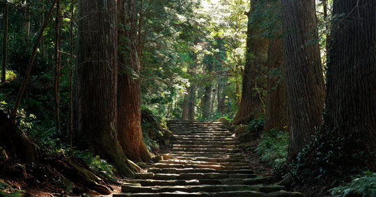 熊野古道 大門坂