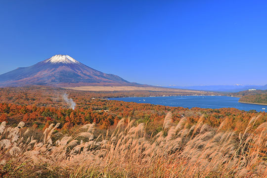 山中湖パノラマ台