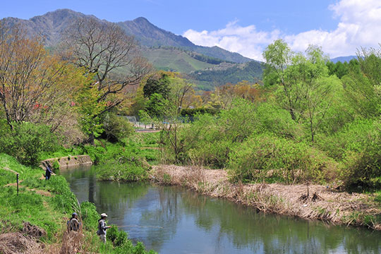 フィッシング(桂川)