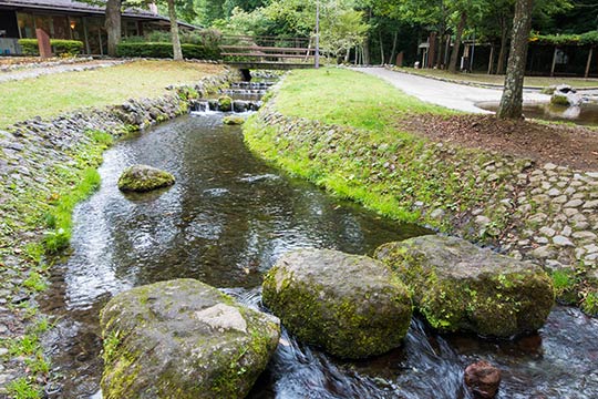 さかな公園