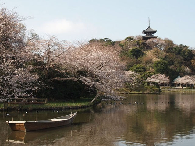 三溪園