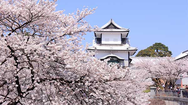 春の金沢城