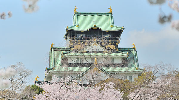 大阪城と満開の桜