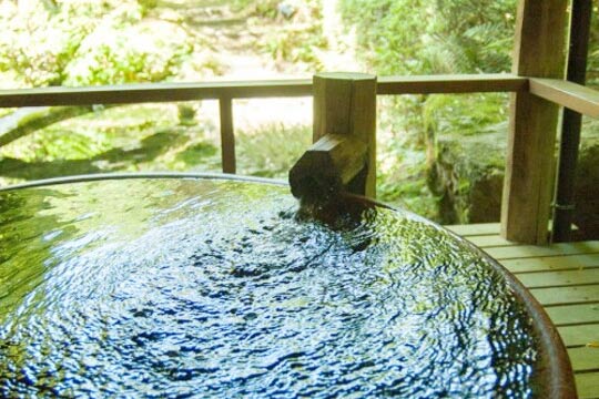 村杉温泉 風雅の宿 長生館
