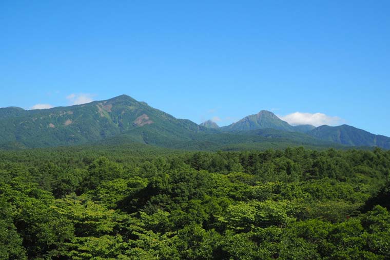 ロイヤルホテル 八ヶ岳
