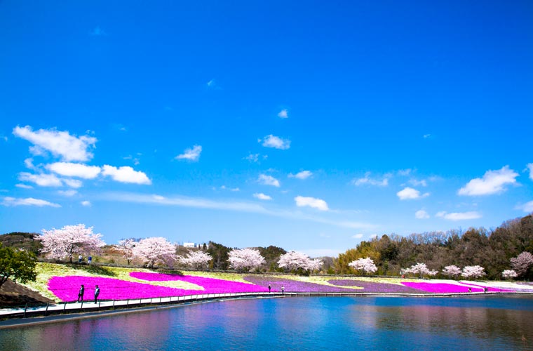 千葉県 東京ドイツ村