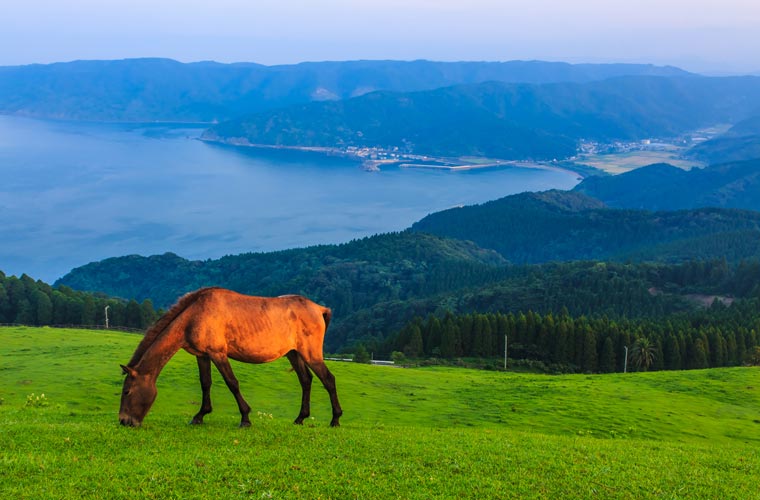 宮崎県 都井岬