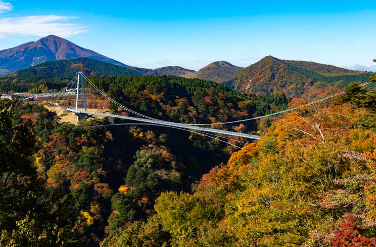 大分県 九重“夢”大吊橋