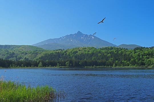 北海道 オタトマリ沼