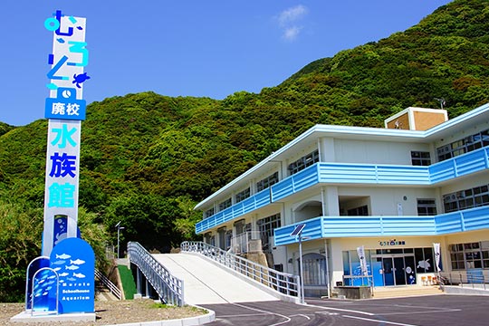 高知県 むろと廃校水族館