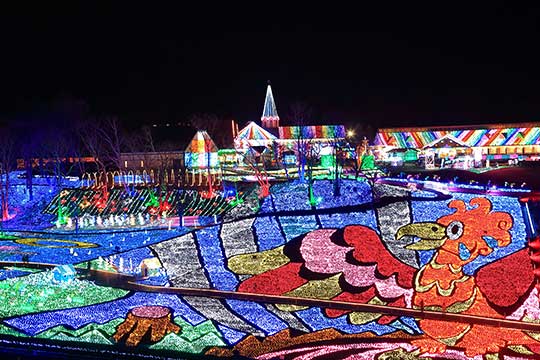 千葉県 東京ドイツ村