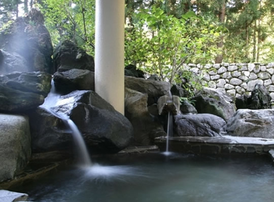 エンゼルグランディア越後中里(越後湯沢)