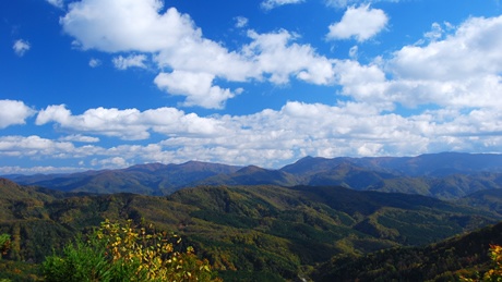 青空とブナの山々