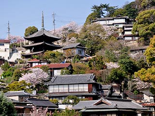 斜面地の景観