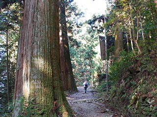 大寶寺参道(久万高原町)