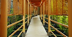 湯の川温泉 湯宿 草菴