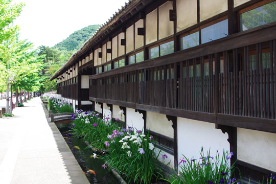 津和野<山陰の小京都>
