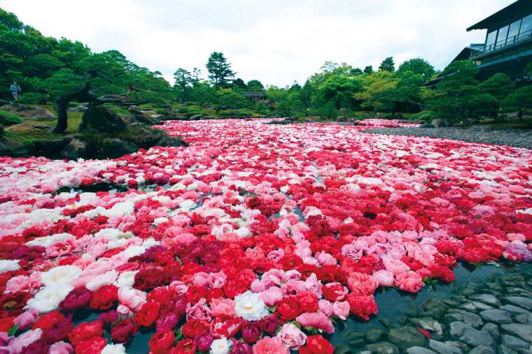 足立美術館の日本庭園