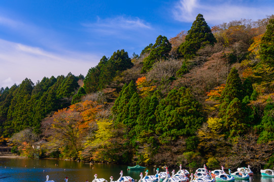 芦ノ湖