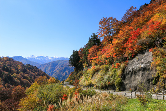白山白川郷ホワイトロード