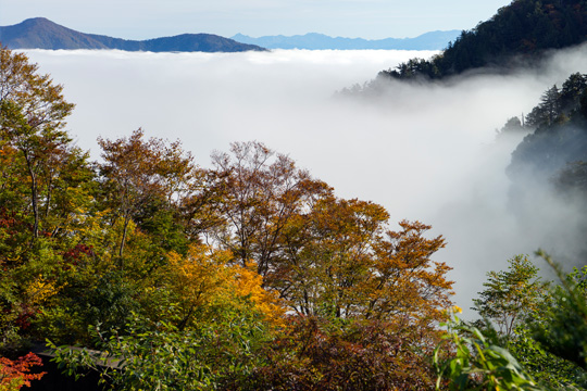 白山白川郷ホワイトロード