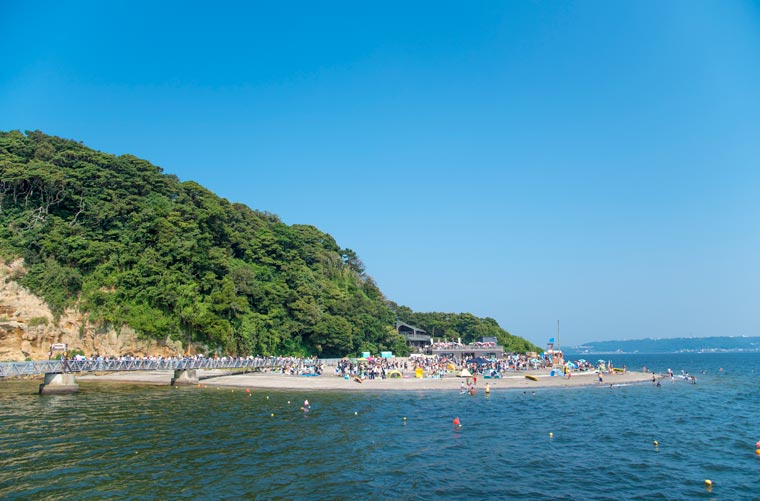 猿島