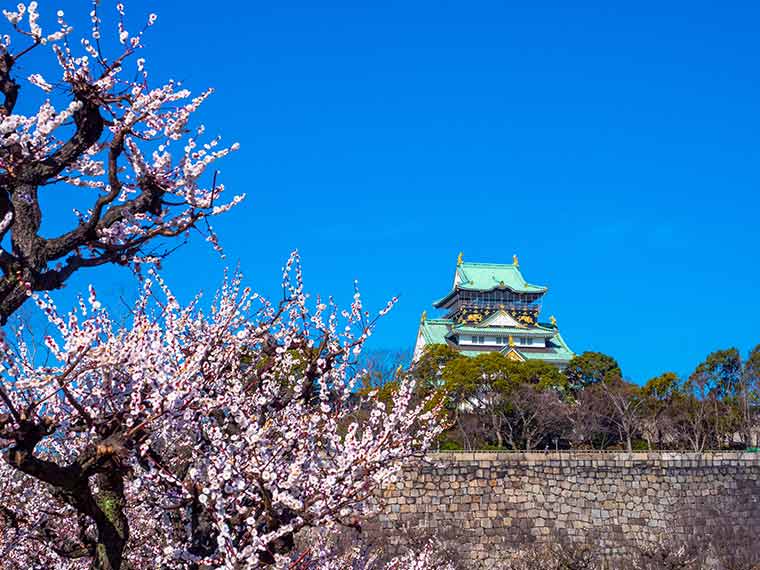 大阪城公園 梅林