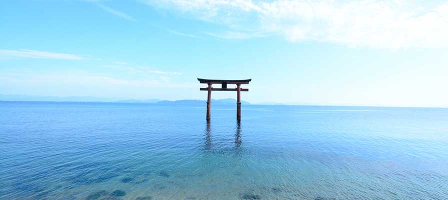 琵琶湖の鳥居(白鬚神社)