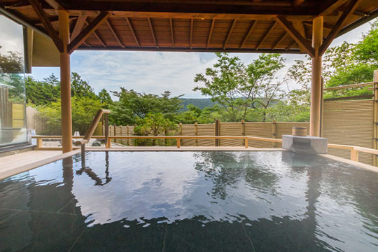 箱根芦ノ湖温泉 和心亭 豊月