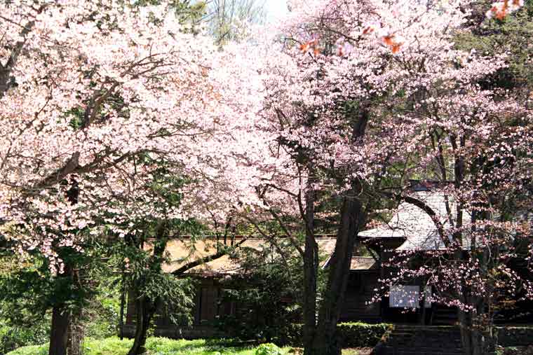 旭山公園