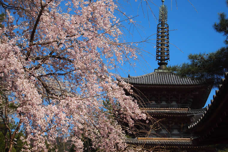 醍醐寺