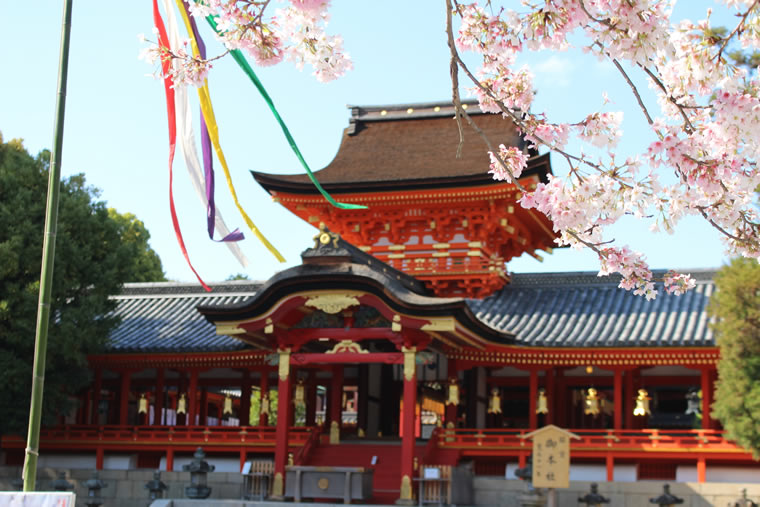 石清水八幡宮の桜