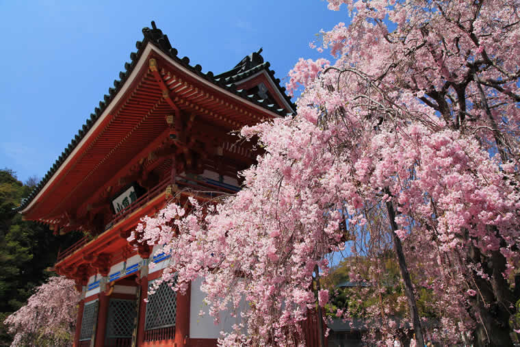 勝尾寺
