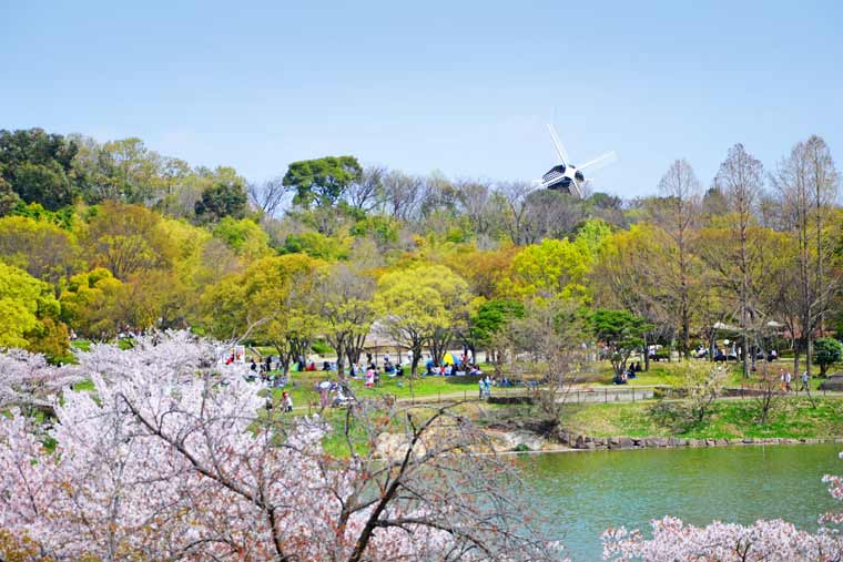 花博記念公園鶴見緑地の桜