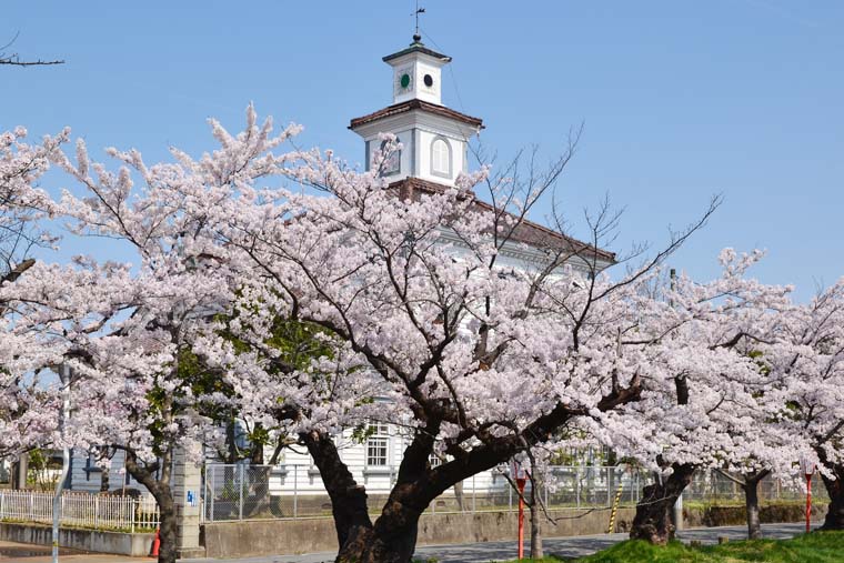 鶴岡公園