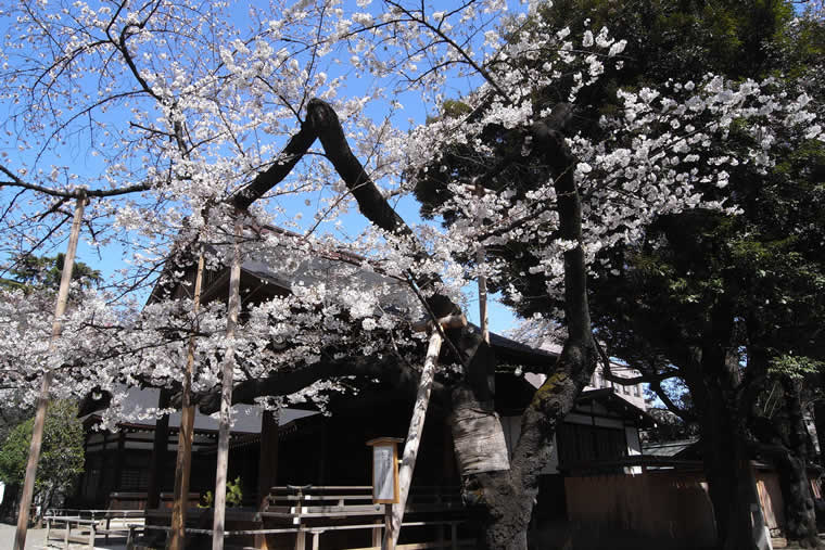靖國神社